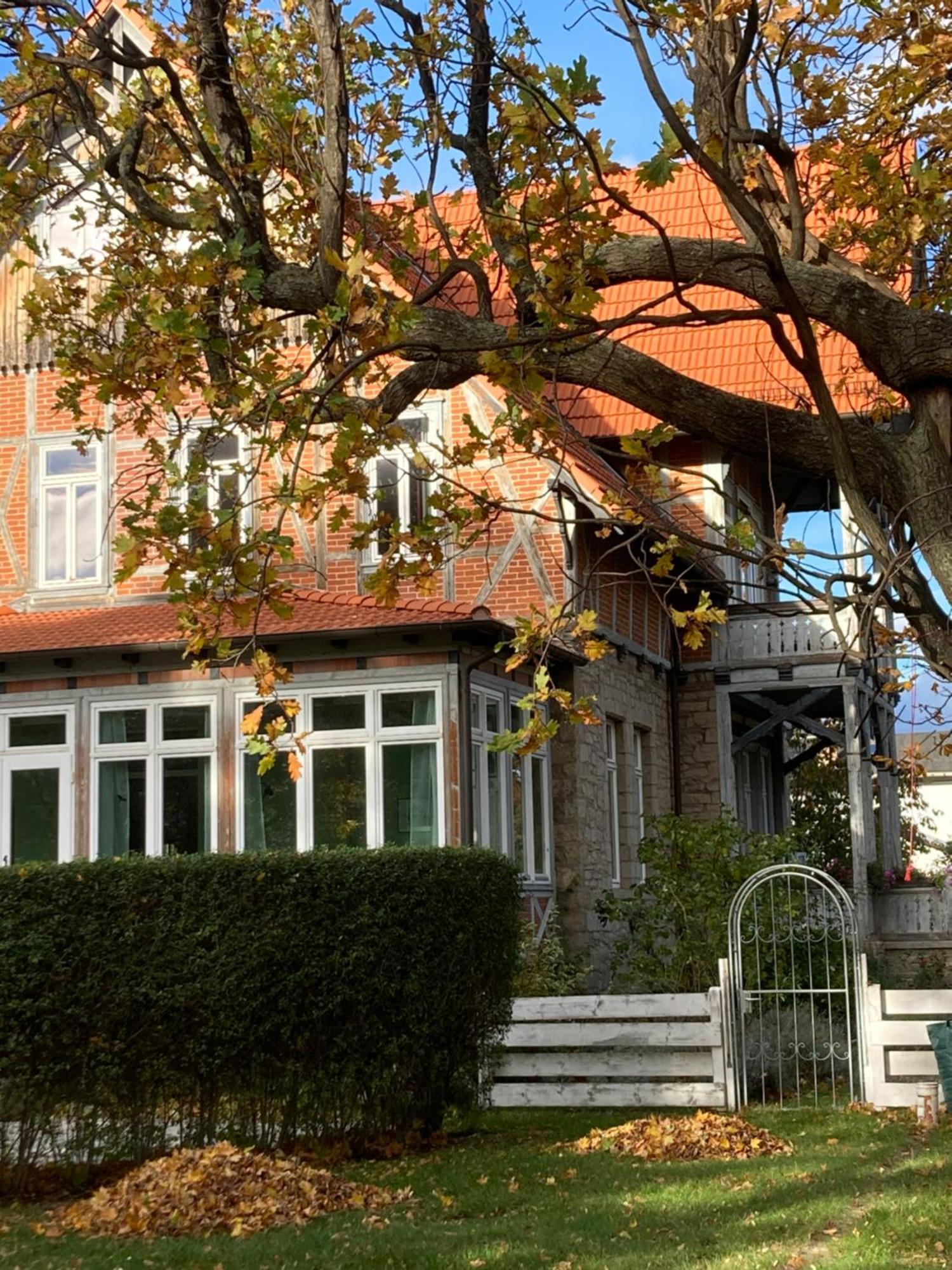 Gaestehaus Musestieg 탈레 외부 사진